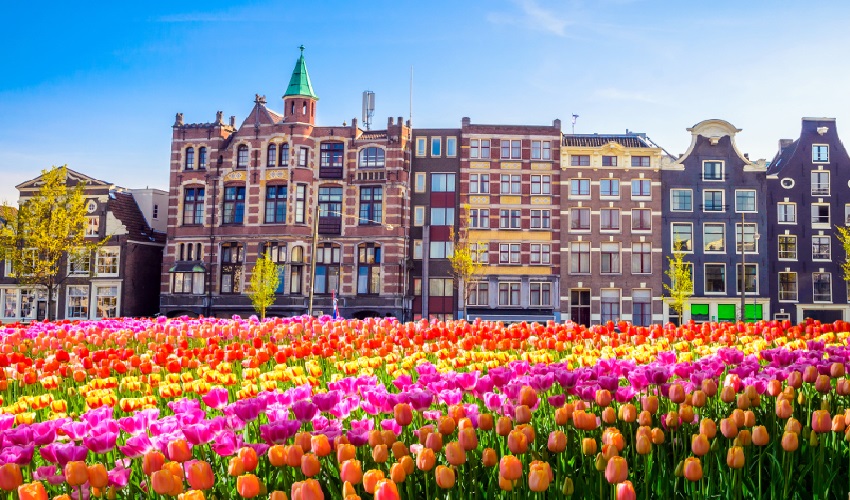 VIAJE CIRCULO IMPERIAL (AMSTERDAM - VIENA)  DESDE AGUASCALIENTES